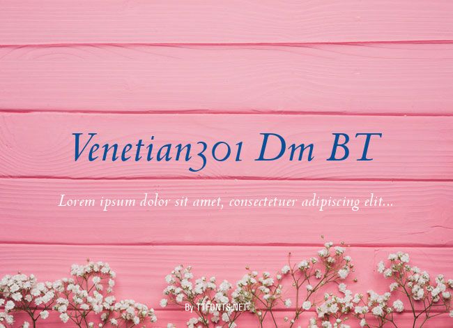 Venetian301 Dm BT example